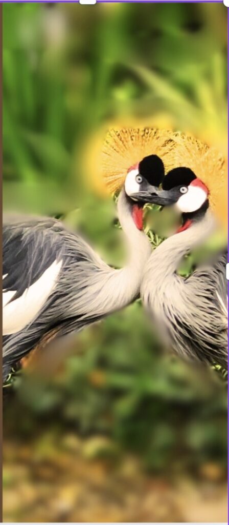 image 19 11 2025 at 14.20